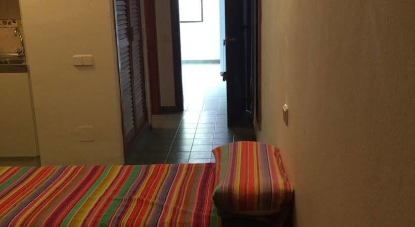 Coconut Apartments - Adults Only Magaluf  Dış mekan fotoğraf